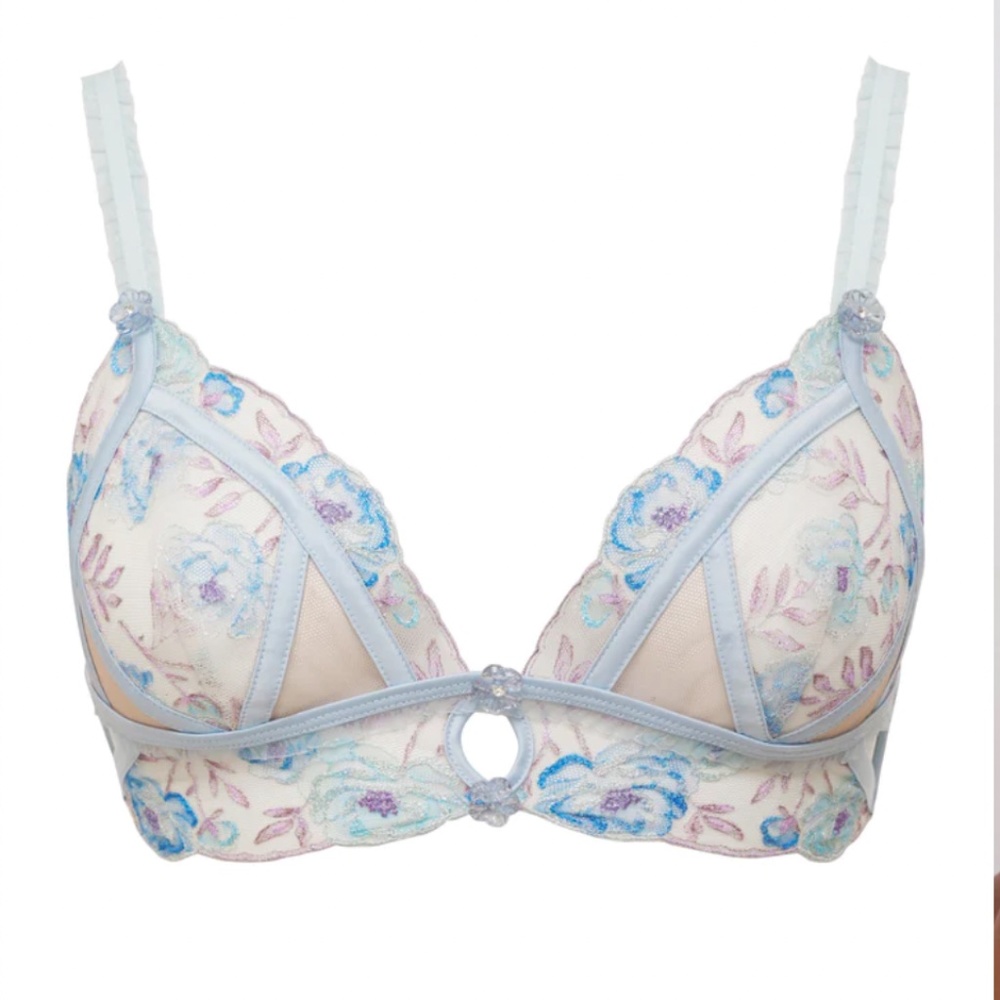 ~ SOLD ~ For Love and Lemons Sorbet Rose 2pc Bralette & Cheeky Panty Set - Picture 8 of 10